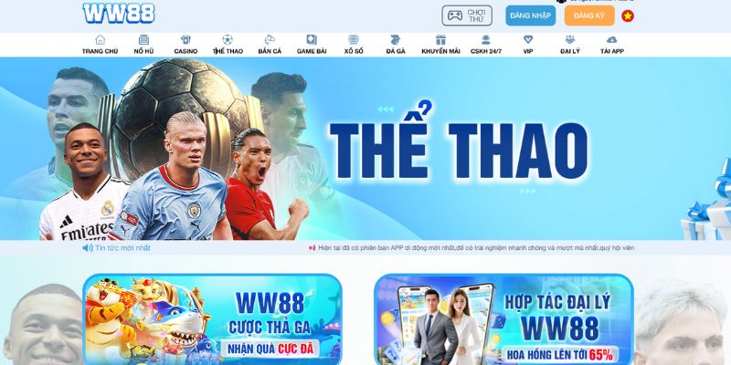 Thể thao ww88 có số lượng người chơi đông đảo