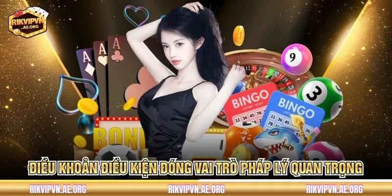 Điều khoản điều kiện đóng vai trò pháp lý quan trọng