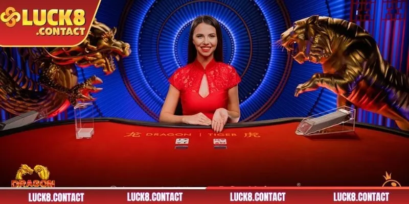 Luật chơi Rồng Hổ đơn giản và chi tiết nhất