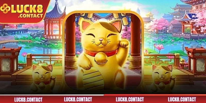 Neko May Mắn ghi điểm nhờ nhiều lợi thế